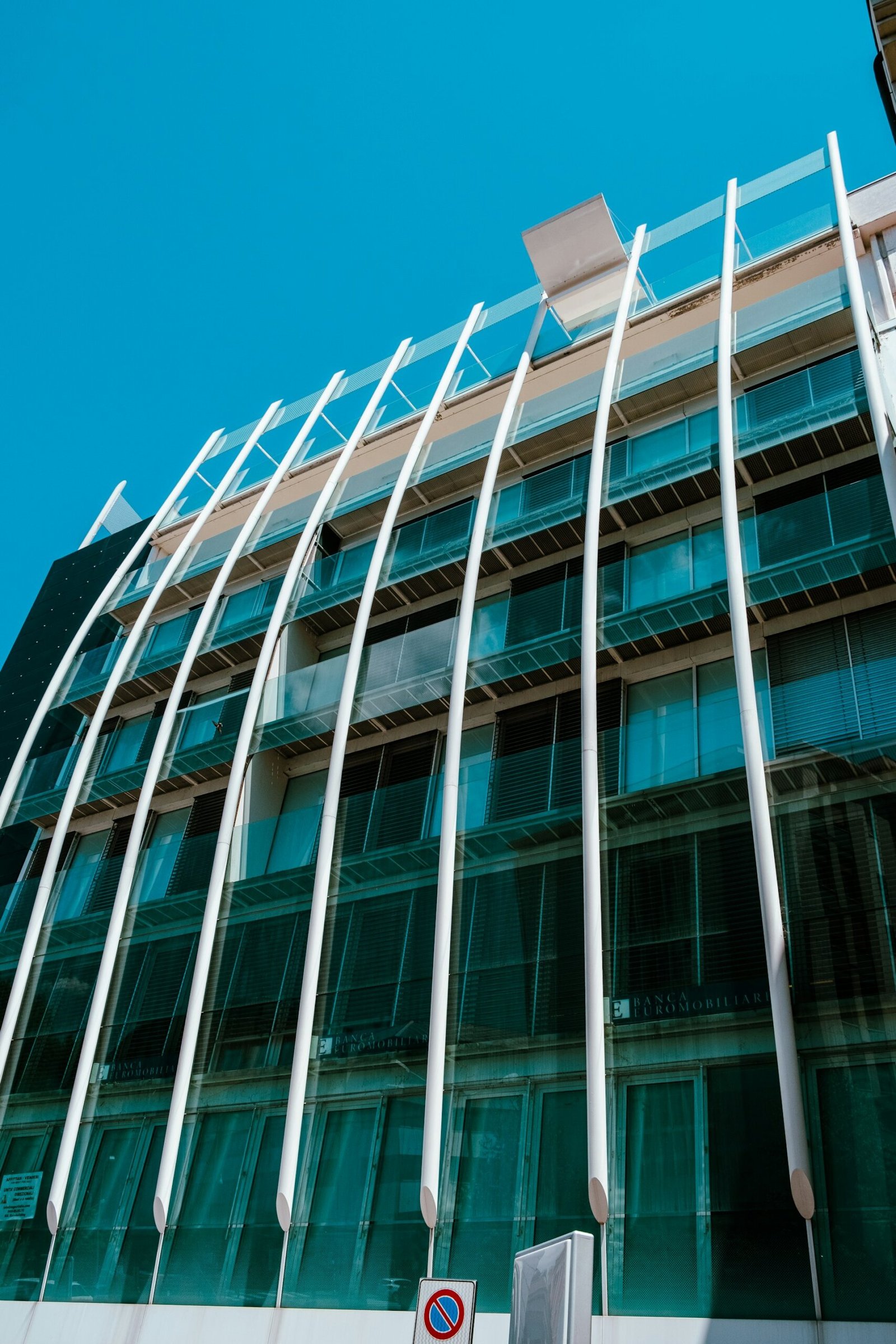 alberto biondi BxSeLovVxmE unsplash