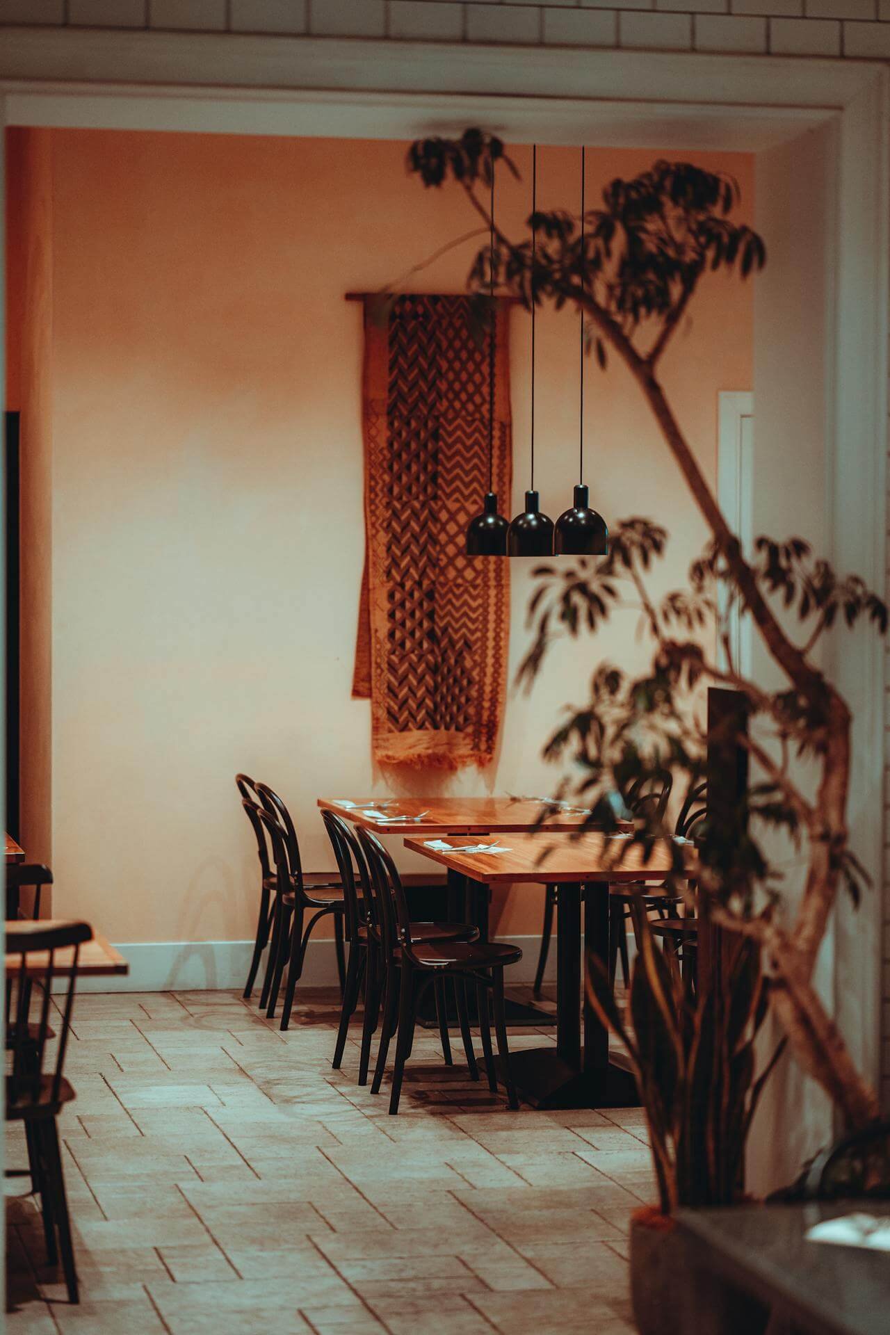 pexels szymon shields 1503561 18859172